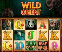 Wild Orient